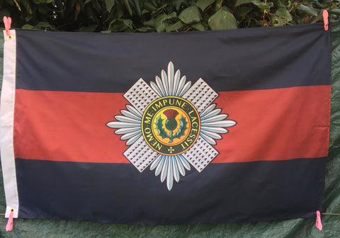 Scots Guards 5’ x 3’ Colours Flag SG