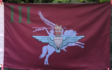 3PARA/PEGASUS 5 x 3 Flag ( 3PARA )