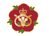 Staffordshire Regiment ( SR ) Flower 🌺 of Remembrance